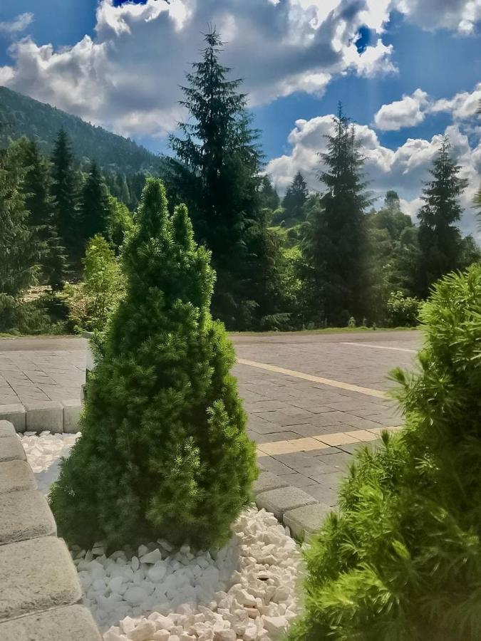 Chalet Carpat Dream Synevyr Exterior photo