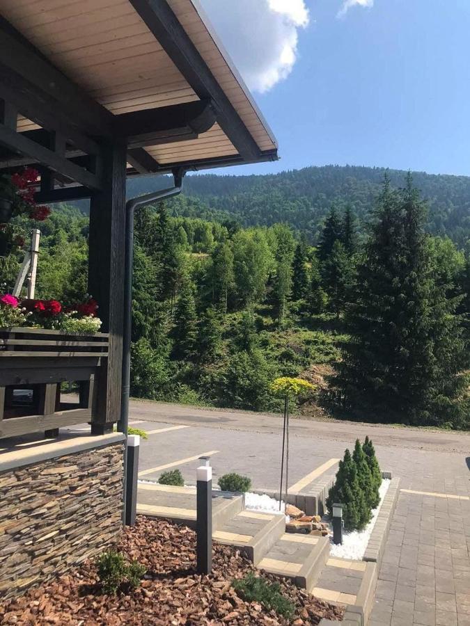 Chalet Carpat Dream Synevyr Exterior photo